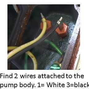 Note the 2 wires in the switch cap. One is white or yellow and the other is black or brown. Thises will be detathed from the the pump motor.